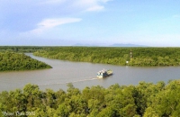 Khảo sát du lịch đường sông huyện Cần Giờ năm 2011