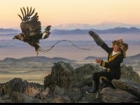 Nghệ thuật đi săn cùng đại bàng của người Mông Cổ