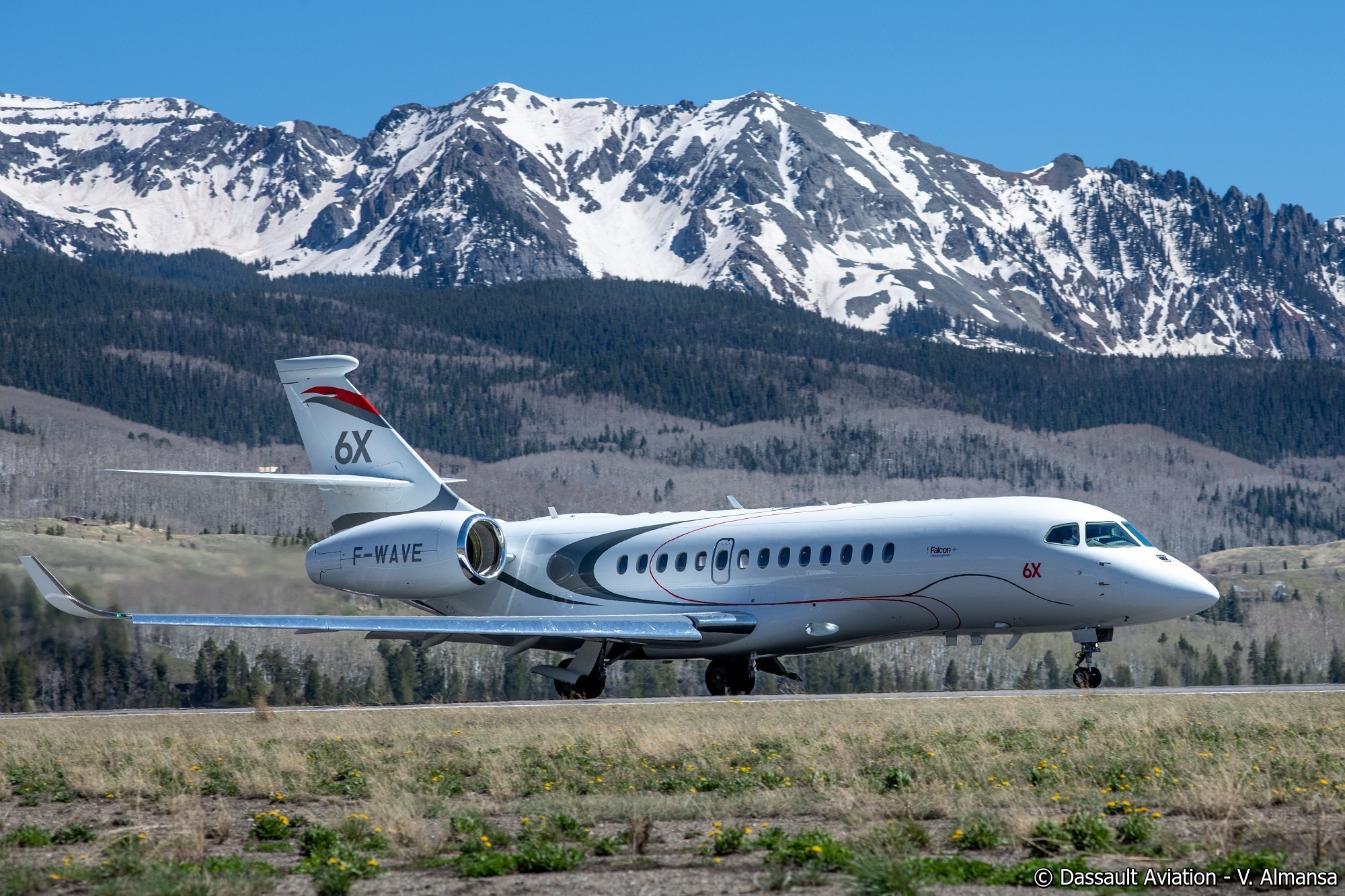 falcon-6x-1783849896.jpg