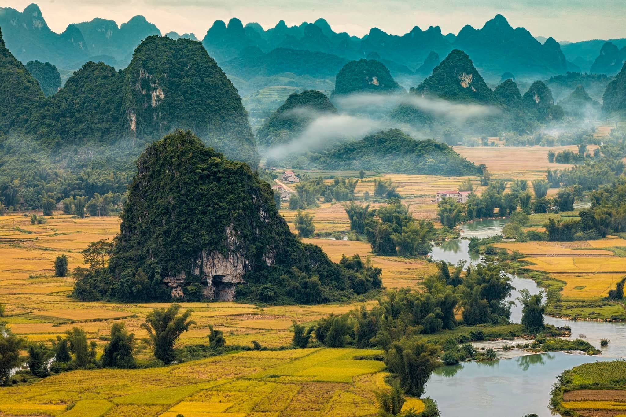 cb-canh-1789396492.jpg