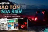 10 đêm thức trắng cùng rùa biển ở Hòn Bảy Cạnh, Côn Đảo
