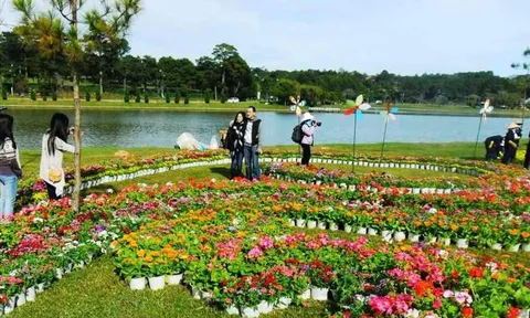 Tết Nguyên đán 2026: Xu hướng du lịch linh hoạt của khách Việt