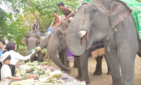 Du khách tuổi Ngọ được ưu đãi đặc biệt tại Trung tâm Du lịch Cầu treo Buôn Đôn