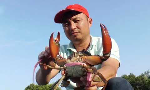 Định vị thương hiệu du lịch Cà Mau