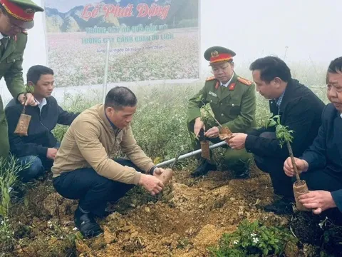 Lũng Cú phát động trồng cây ăn quả gắn phát triển du lịch xanh